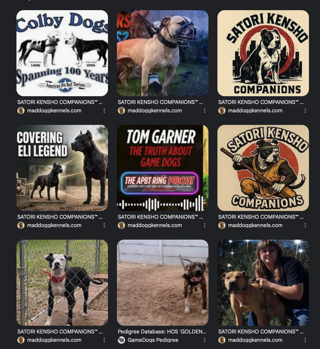 MadDoggKennels is back!!!
